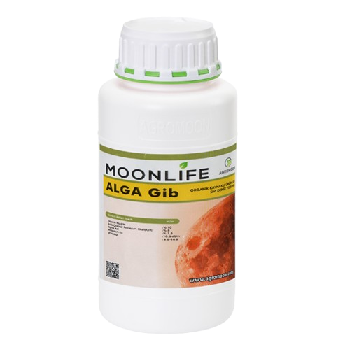 Moonlife               Alga Gib