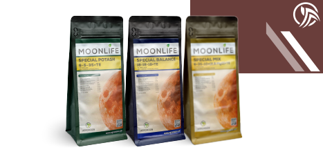 Moonlife Banner