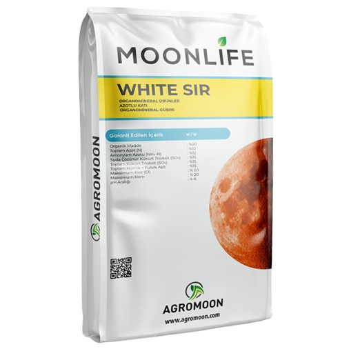 MOONLIFE WHITE SIR