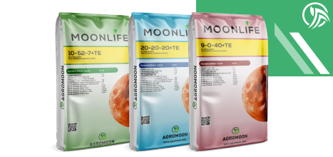 Moonlife Banner
