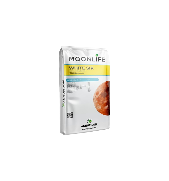 MOONLIFE WHITE SIR